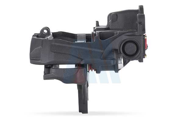 CCK12 - CHF1127