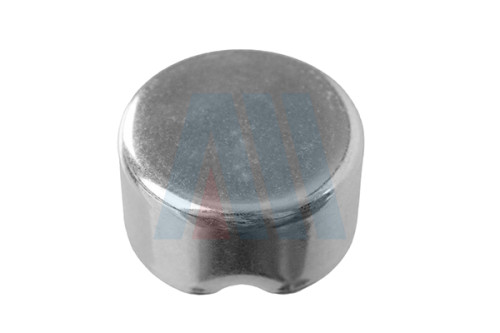Caliper Pin Cap